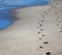 transfert paziente terapeuta orme sabbia mare spiaggia percorso