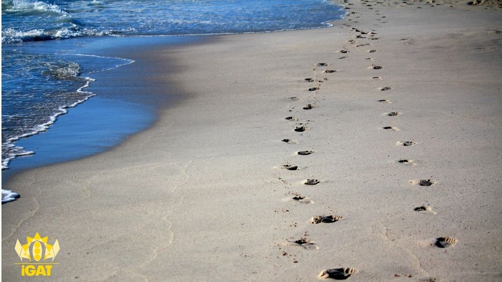 transfert paziente terapeuta orme sabbia mare spiaggia percorso